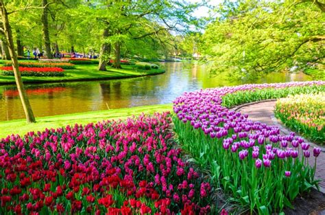 Keukenhof Park: tickets, timetables and useful information for the ...