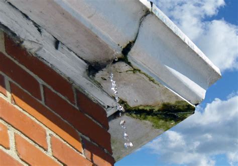 Oregon Gutter Service - Professional Gutter Repair