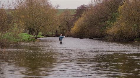 River Severn Grayling VIDEO - Fly Fishing At Llanidloes - Fishing in Wales