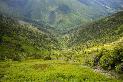 Free Images : tree, nature, grass, wilderness, walking, sky, hiking, meadow, adventure, valley ...