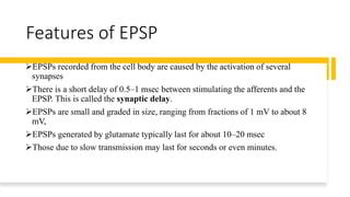 EPSP and IPSP | PPT