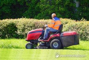 Lawn Sweeper Vs Bagger: Which To Choose In 2024? - A Nest With A Yard