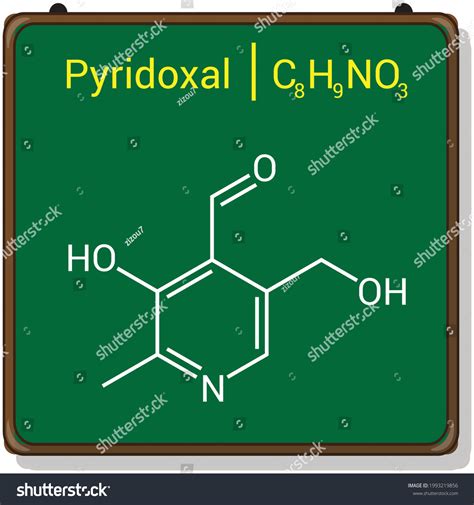 7 Vitamic Chart Images, Stock Photos & Vectors | Shutterstock