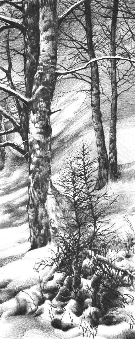 Pencil drawing of "Winter Wonderland" :: Behance