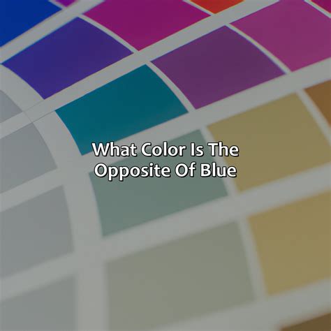 What Color Is The Opposite Of Blue - colorscombo.com