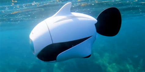 BIKI Robofish is an underwater drone that records in 4k - Business Insider