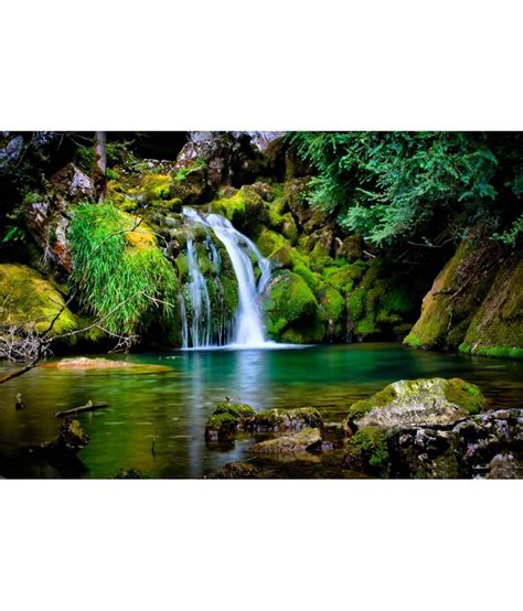 Poster Nature scenery 674: Buy Poster Nature scenery 674 at Best Price ...