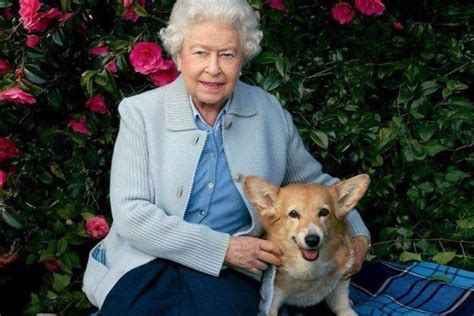 Queen Elizabeth's Corgi Puppies Are Keeping Her Company with Prince Philip in the Hospital