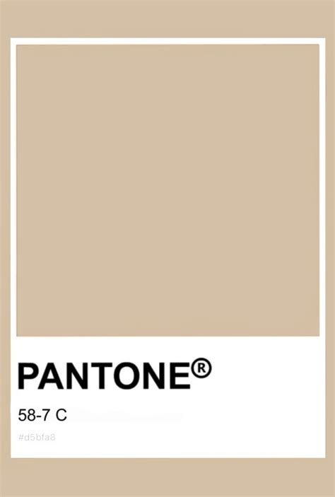 Pantone Skin Tone 58-7 C | Цветовые тона, Цветовые палитры, Картинки