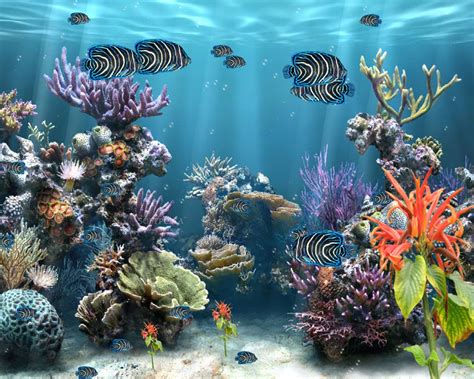 Aquarium Screensaver Free Download Full Version
