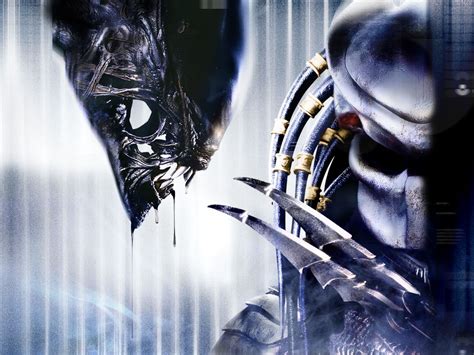 Aliens Vs Predator 2022 Wallpaper