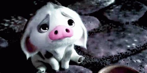 Sad Pig GIFs | Tenor