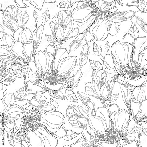 Vector seamless pattern with outline magnolia flower, ornate buds and leaves on the white ...