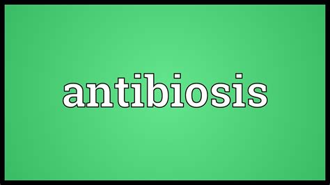 Antibiosis Meaning - YouTube