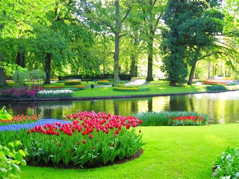 Keukenhof Tulip Gardens & the Tulip Fields in Holland | Gardens of the world, Famous gardens ...