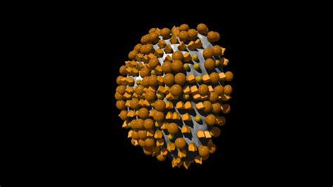 File:Influenza virus model.gif - Wikimedia Commons