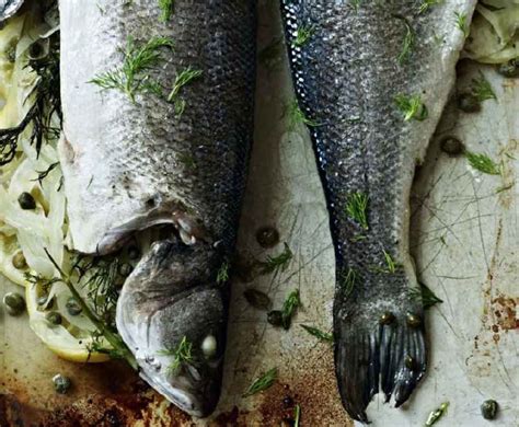 SEA BASS WITH FENNEL LEMON AND CAPERS - Brenda Gantt Recipes