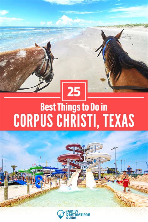 25 Best Things to Do in Corpus Christi, Texas | Texas vacations, Explore texas, Texas adventure