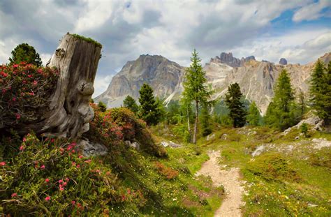 ***Hiking path in the Dolomites (Italy) by Béla Török on 500px cr.🇮🇹 ...