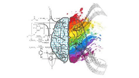 Difference Between Left Brain vs Right Brain - MentalUP