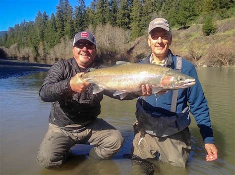 Coastal Steelhead Trips - Eel River - Mike Hibbard Fly Fishing