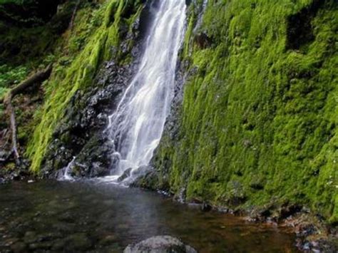 Cabin Creek Falls - Hiking in Portland, Oregon and Washington