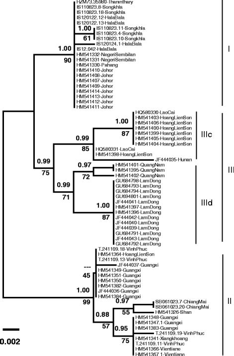 Taxonomic implications of geographical variation in Rhinolophus affinis ...