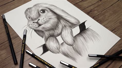 How to Draw a Rabbit Step by Step | Animals Drawing | Pencil Sketch tutorial - YouTube