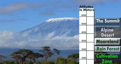 Kilimanjaro-Climatic-Zones-by-Altitude.jpg (646×346) | Kilimanjaro, Adventure is out there ...