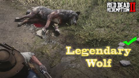 Hunting The Legendary Wolf RDR2 - YouTube