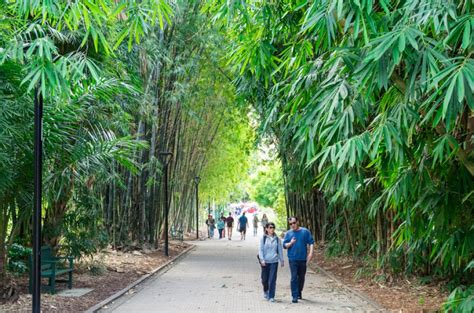 Brisbane - City Botanic Gardens