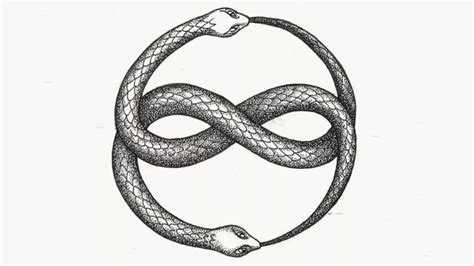 Snake Symbology: 7 concepts associated with this animal