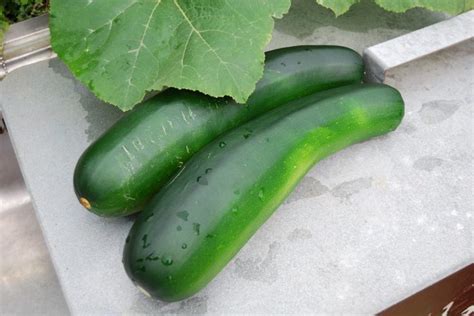 Cucumber Allergy Symptoms and Diagnosis - Allergy Symptoms