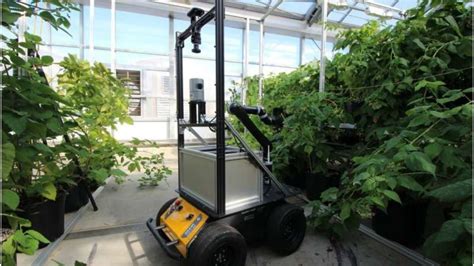 Pollination Robots: A New Frontier in Agriculture Robotics