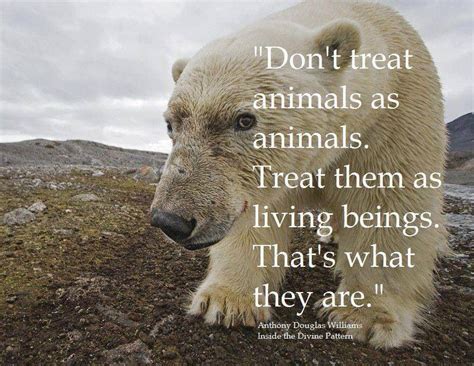 Animals | Animal quotes, Save animals, Animals