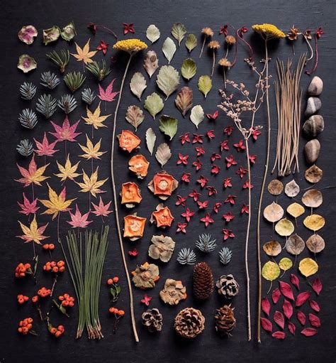 Visually Satisfying Compositions of Flowers and Botanical Arrangements | Photographie de fleurs ...