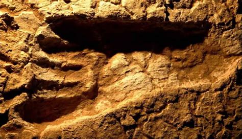 Geologist Urges Swift Repatriation of Mungo Man, a 40,000-Year-Old Discovery - Archaeology Worlds