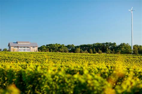 10 Best Wineries & Vineyards On Long Island, NY - Secret NYC