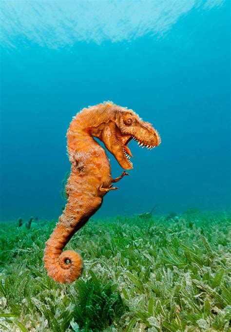 15 Hybrid Animals Born In The Land Of Photoshop