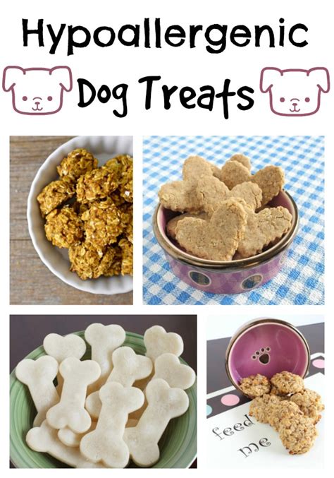 4 Amazing Hypoallergenic Dog Treat Recipes - DogVills