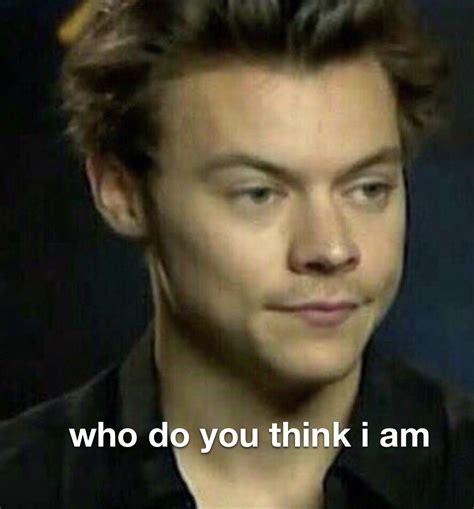 harry styles meme | Harry styles memes, Harry styles funny, One direction memes