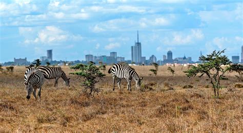 Nairobi, Kenya: 4 Wonderful Places To Visit | Found The World