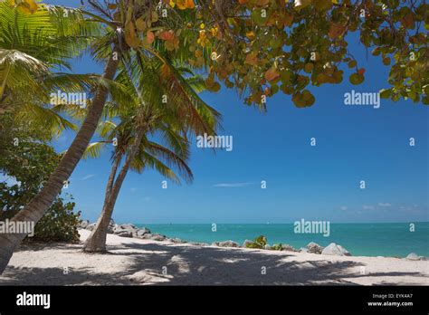 FORT ZACHARY TAYLOR STATE PARK BEACH KEY WEST FLORIDA USA Stock Photo - Alamy