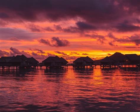 Bora Bora vs. Moorea: Which Island is Right For You? - A One Way Ticket