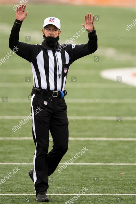 Referee Land Clark 130 During Nfl Editorial Stock Photo - Stock Image | Shutterstock