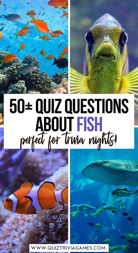 50+ Fish Quiz Questions And Answers - Quiz Trivia Games