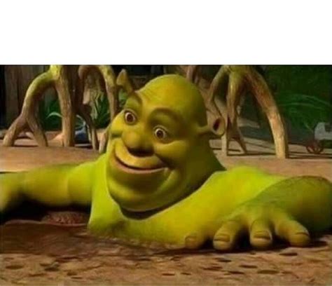 "shrek" Meme Templates - Imgflip