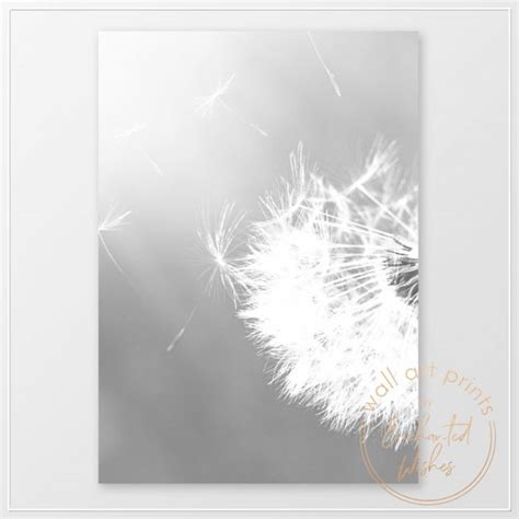 Dandelion Seeds Black & White Photo Print - Wall Art