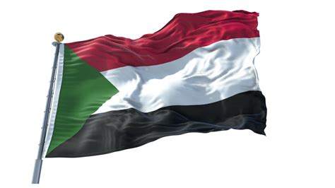 Palestinian Flag Png