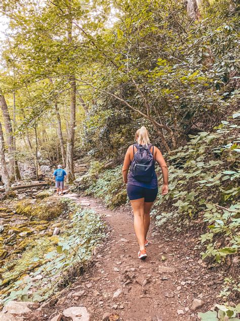 Hiking the Cascade Falls Trail in Virginia: What You Need to Know